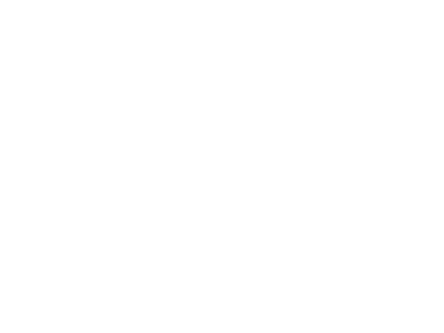 connect-white